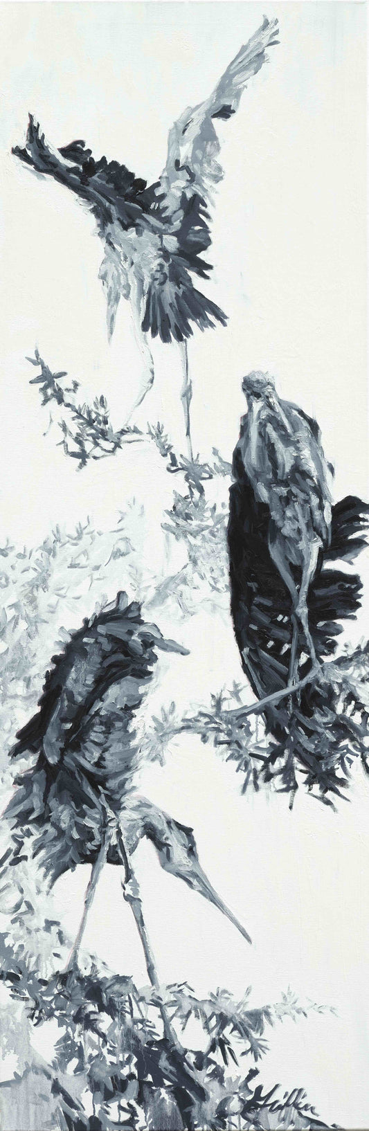 Rookery