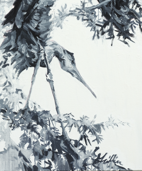 Rookery